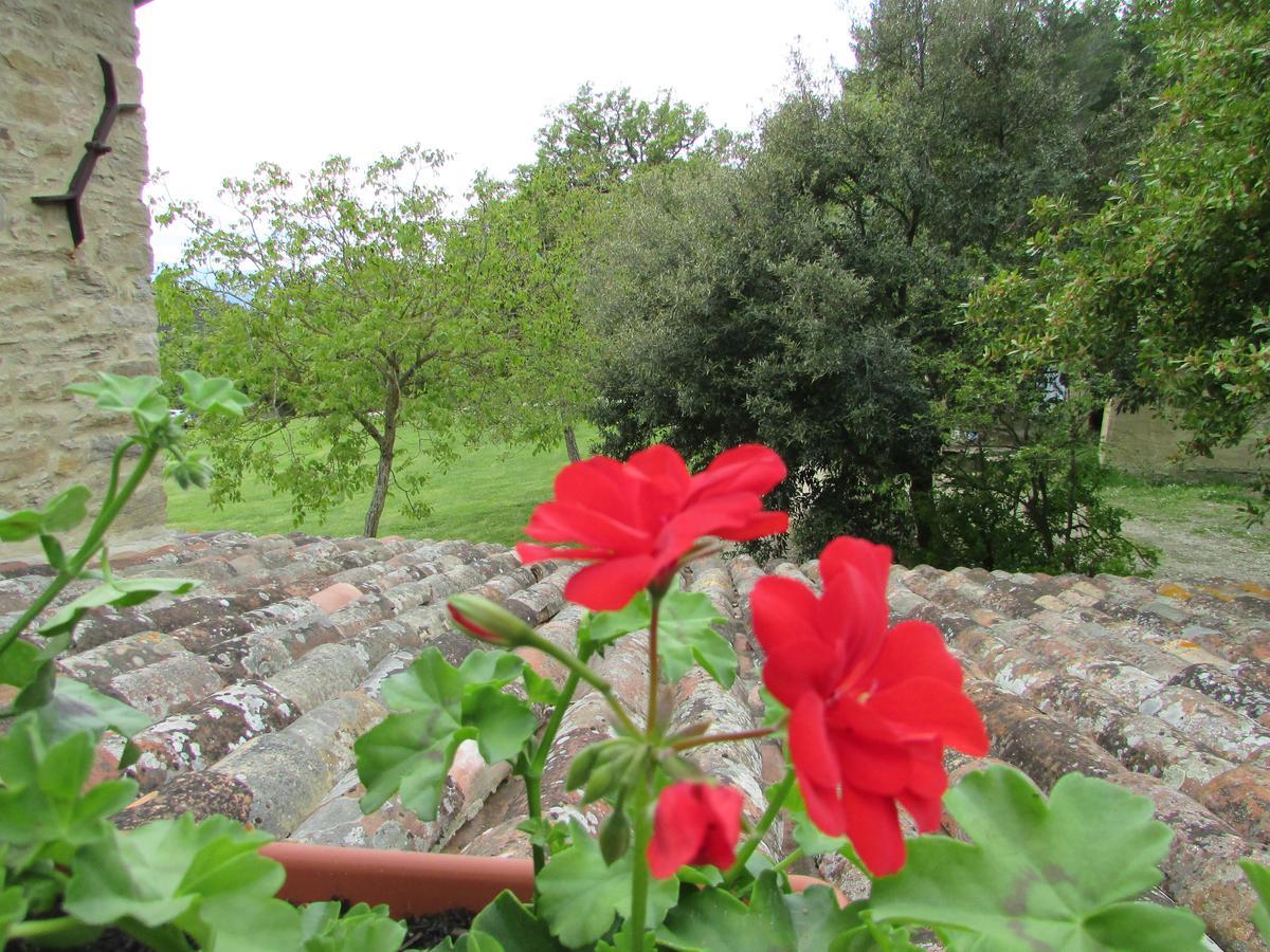 Le Querce Di Campolungo Bed & Breakfast San Giustino Luaran gambar