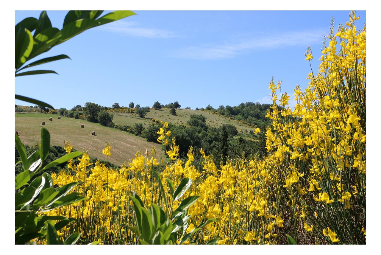 Le Querce Di Campolungo Bed & Breakfast San Giustino Luaran gambar